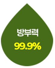 방부력 99.9%